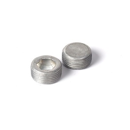 ЗАГЛУШКА РЕЗЬБОВАЯ 22